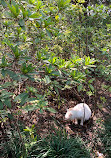 Shanghai Zoo Entering Type Birds Paradise