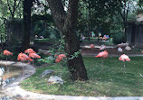 Shanghai Zoo Entering Type Birds Paradise