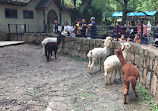 Shanghai Zoo Entering Type Birds Paradise