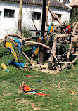 Shanghai Zoo Entering Type Birds Paradise