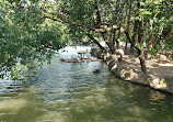 Shanghai Zoo Entering Type Birds Paradise