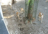 Shanghai Zoo Entering Type Birds Paradise