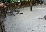 Shanghai Zoo Entering Type Birds Paradise