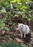 Shanghai Zoo Entering Type Birds Paradise