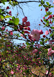 Shanghai Zoo Entering Type Birds Paradise