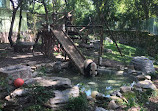 Shanghai Zoo Entering Type Birds Paradise