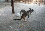 Shanghai Zoo Entering Type Birds Paradise