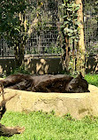 Shanghai Zoo Entering Type Birds Paradise