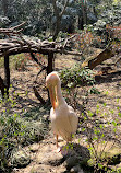 Shanghai Zoo Entering Type Birds Paradise