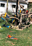 Shanghai Zoo Entering Type Birds Paradise