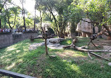 Shanghai Zoo Entering Type Birds Paradise