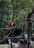 Shanghai Zoo Parking Lot