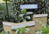باغ وحش و باغ گیاه شناسی سیمون بولیوار