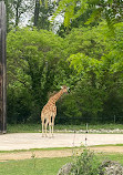 Lyon Zoo