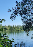 Poschinger Weiher