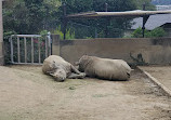 Fukuoka Zoo and Botanical Garden