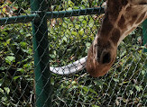 Fukuoka Zoo and Botanical Garden