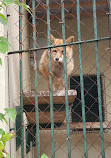 Fukuoka Zoo and Botanical Garden