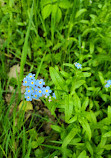 Paddock River Preserve