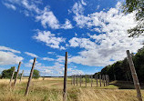 Maelmin Henge and Trail