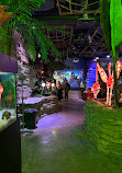 The Shore Oceanarium