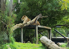 Perth Zoo