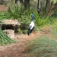 Perth Zoo