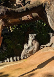 Perth Zoo