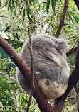 Perth Zoo