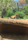 Perth Zoo