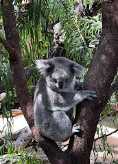 Perth Zoo