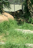 Perth Zoo