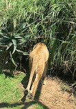 Perth Zoo