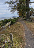 Colonial Beach Municipal Pier