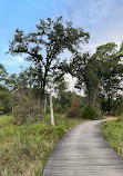 Memorial Park Picnic Area 1