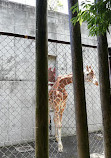 Yagiyama Zoological Park