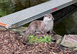 Cologne Zoological Garden