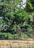 Cologne Zoological Garden