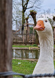 Cologne Zoological Garden