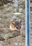 Cologne Zoological Garden