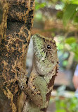 Cologne Zoological Garden