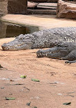 Cologne Zoological Garden