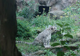 Cologne Zoological Garden