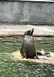 Cologne Zoological Garden