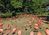 Cologne Zoological Garden