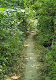 Percorso verde di Ponte San Giovanni