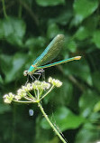 Percorso verde di Ponte San Giovanni