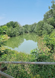 Percorso verde di Ponte San Giovanni