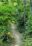 Percorso verde di Ponte San Giovanni