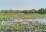 Maplewood Nature Center